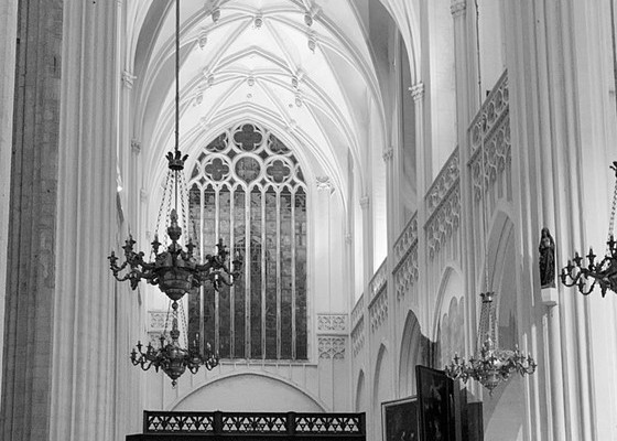 Cathedrale Antwerp (Jan Van der Spiegel).jpg