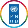 UNDP Senegal.jpg