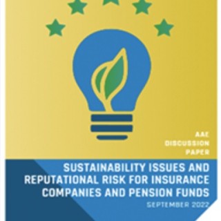 AAE Sustainability issues and reputational risk for INS and PF